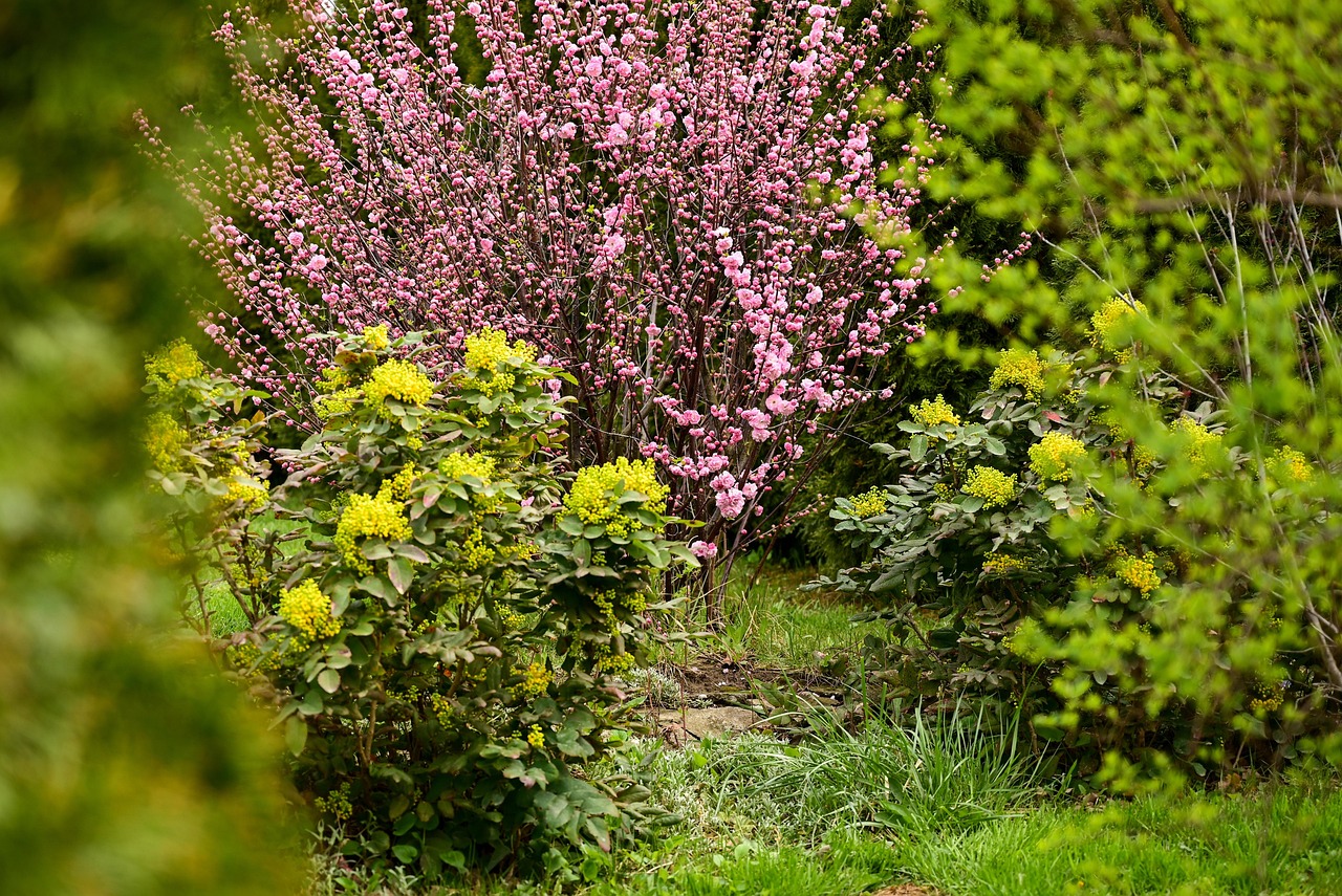 Plantas de jardín resistentes al viento frío, mostrando flores vibrantes en un entorno protegido.