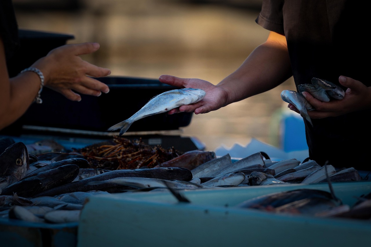 Mercado nocturno de pescados en un pueblo costero en enero, con luces y coloridos puestos.